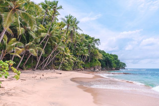 LUT bình minh màu hồng phấn pastel