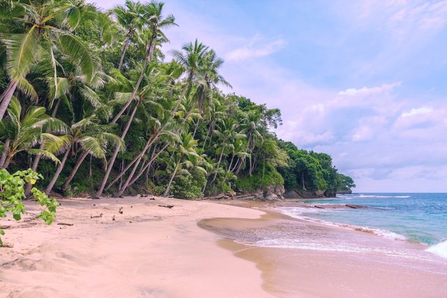 LUT chân trời tím đai vệ nữ